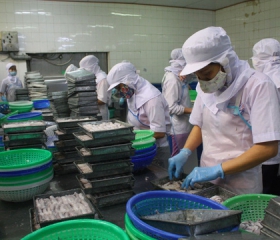 Tuổi nghỉ hưu tăng chậm để tránh gây 'sốc'
